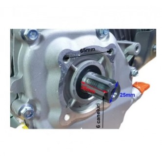 Motor 6 caneluri, diametru 25mm pentru motocultor Ruris 731k